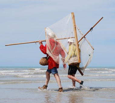 Pêche à pied